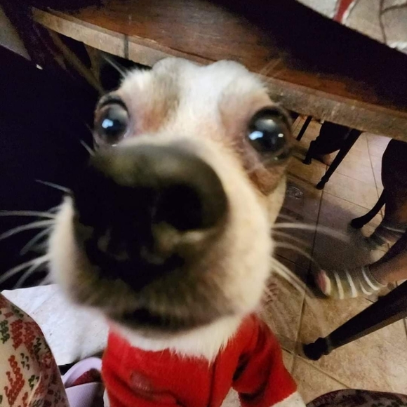 Meet the Posher - Picture 6 of 10